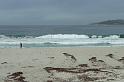 Carmel 10-30-08 248